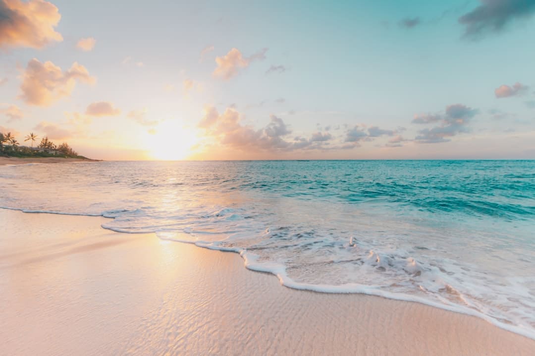 Image by Sean Oulashin on Unsplash